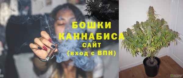 ГАЛЛЮЦИНОГЕННЫЕ ГРИБЫ Дмитровск