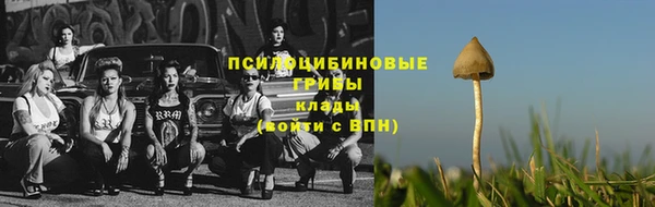 кокс Дмитров