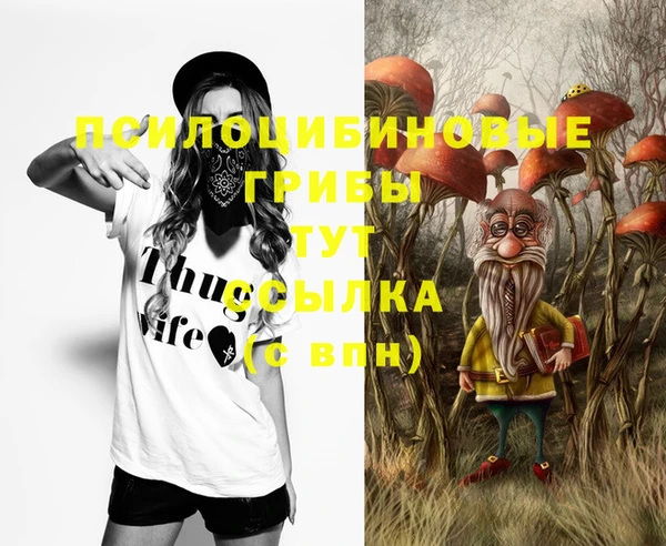 меф VHQ Дмитриев