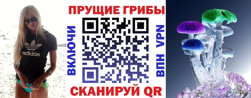 Купить закладки  Покровск  Псилоцибиновые грибы прущие грибы 